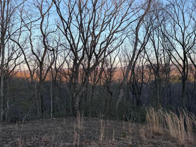 Land for sale in Tennessee