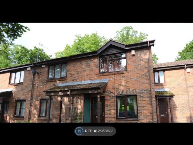 House for rent in Spital Tongues, Tyne And Wear