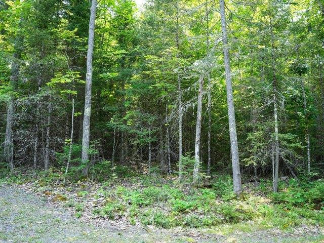 Land for sale in Vilas, Wisconsin