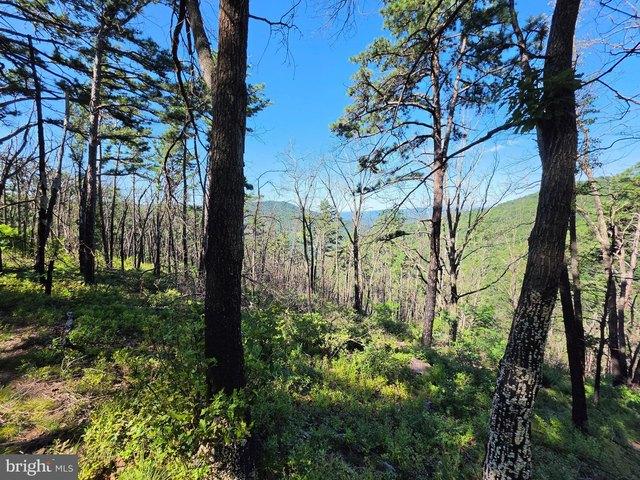 Land for sale in Hardy, West Virginia