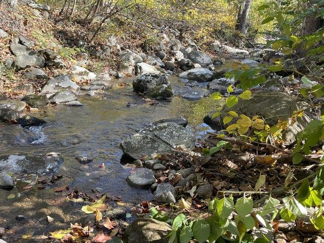 Land for sale in Virginia