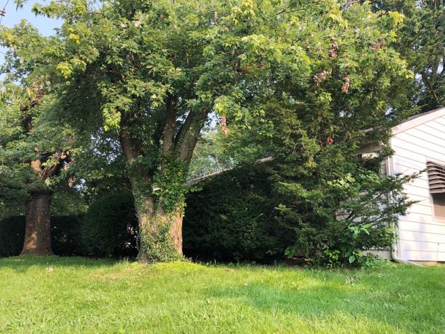 Apartment for rent in Bloomington, Monroe County