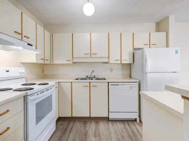 House for rent in Edmonton, Wedgewood