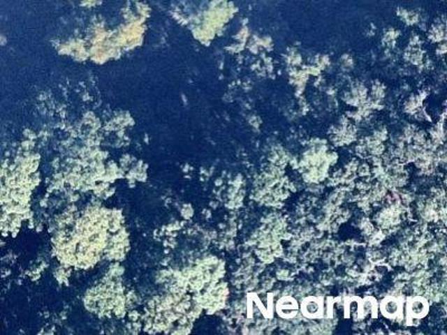 Land for sale in Florida
