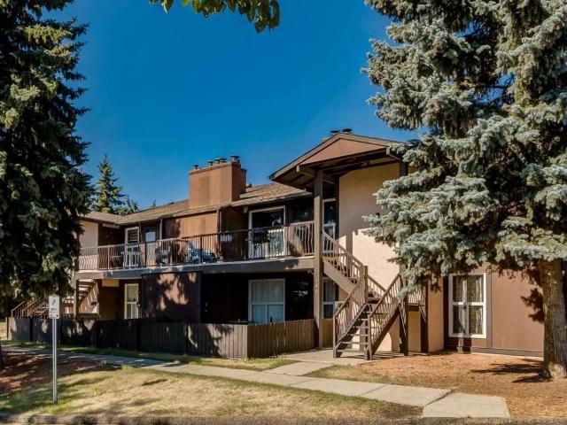 House for rent in Edmonton, Wedgewood