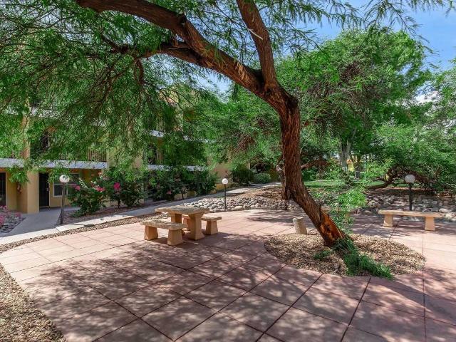 Apartment for rent in Tucson, Arizona