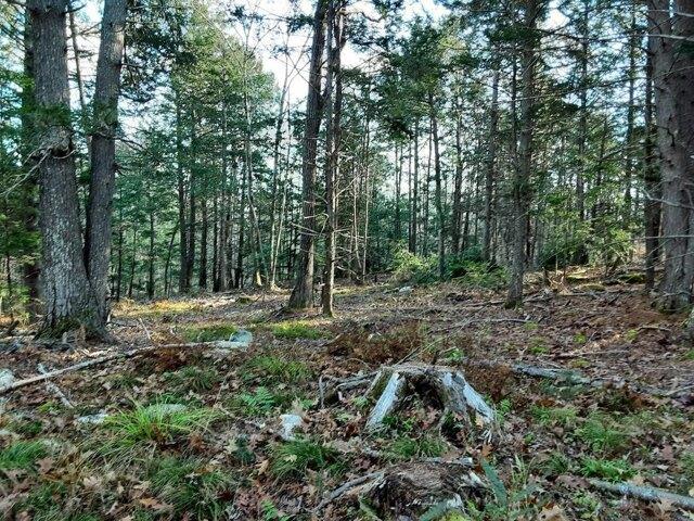 Land for sale in Whitefield, Maine