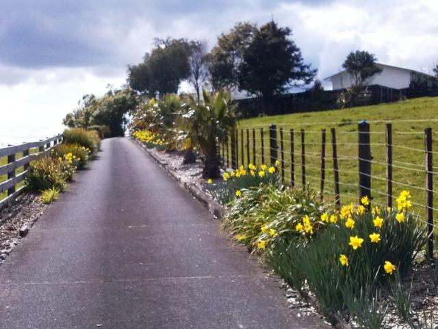 Apartment for rent in Awhitu