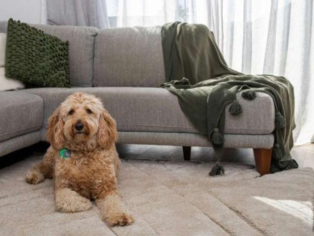 House for sale in Wairau Valley, Oroua County
