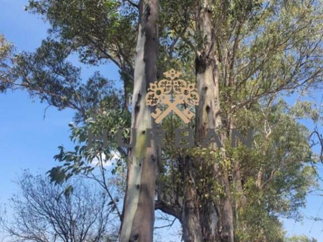 HURBAN VENDE rancho/granja al sur de Aguascalientes