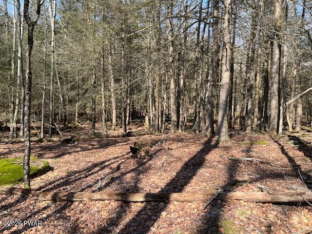 Land for sale in Bethel, New York