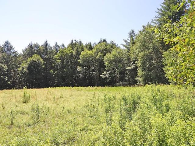 Land for sale in Bethel, New York