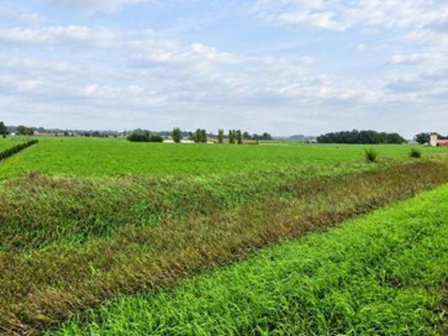 Land for sale in Sheridan County, Kansas