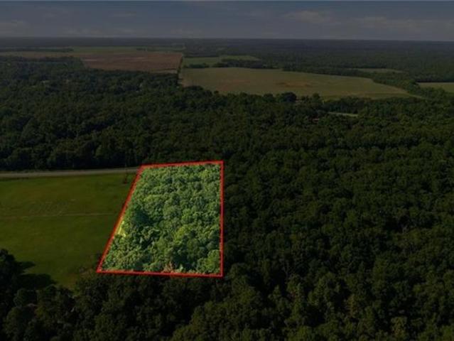 Land for sale in Alabama