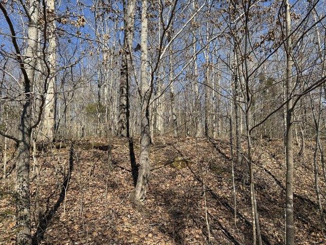 Land for sale in Tennessee