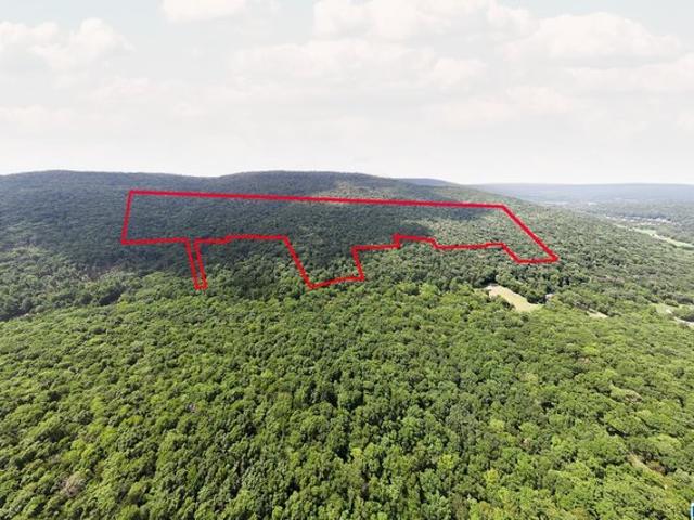 Land for sale in New Market, Alabama