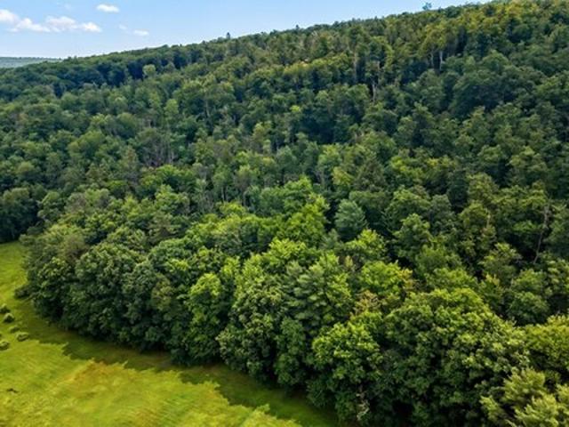 Land for sale in New Hampshire