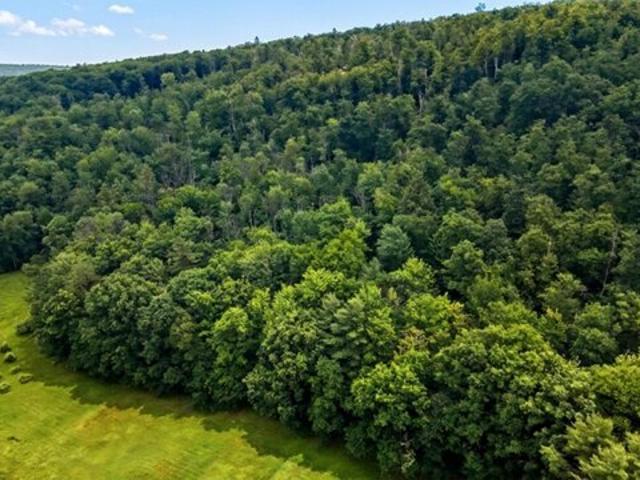 Land for sale in New Hampshire
