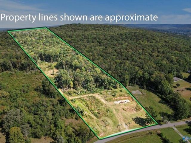 Land for sale in New Market, Alabama