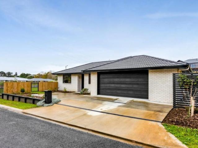 House for rent in Vogeltown, New Plymouth