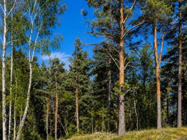 Lägenhet hyra i Uppsala