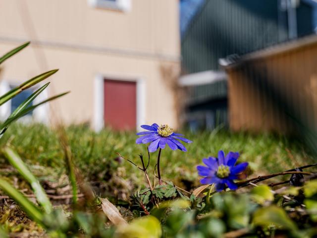Villa till salu i Västra Götaland