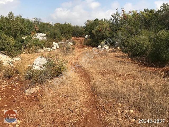 Silifke, Mersin içerisinde satılık Arsa