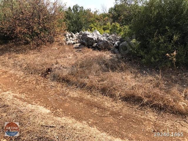 Hüseyinler, Silifke içerisinde satılık Arsa