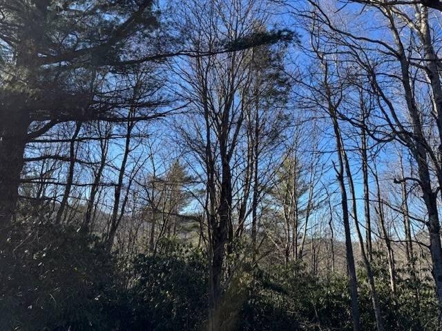 Land for sale in Jonas Ridge, North Carolina