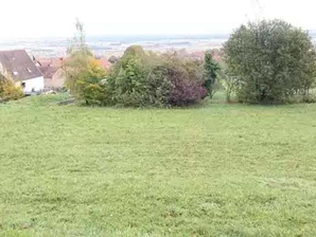 Terrain vente à Colmar-Ribeauvillé, Husseren-les-châteaux
