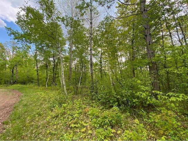 Land for sale in Trego, Wisconsin