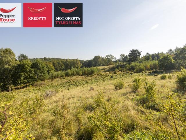 Grunt na sprzedaż w Huta Dolna, Pomorskie