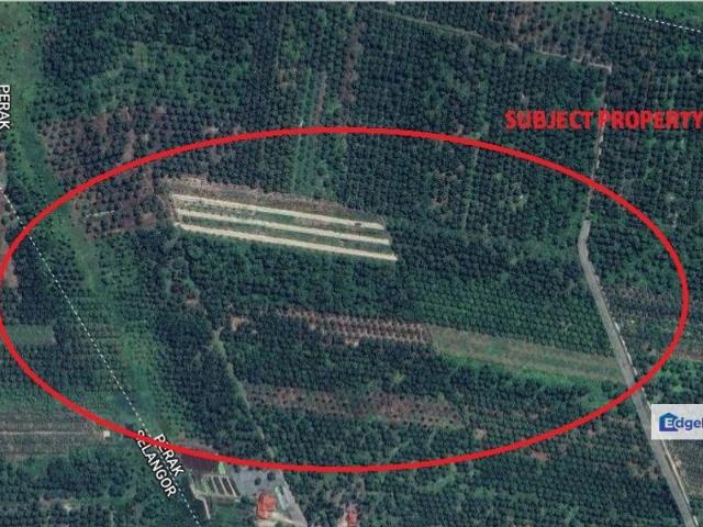 Shop for sale in Perak, Hutan Melintang