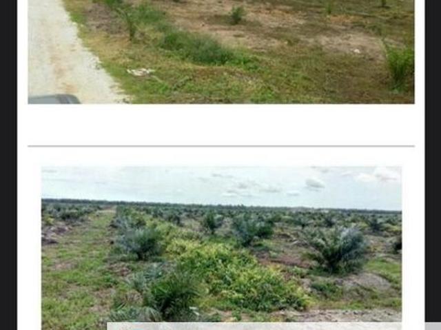 Shop for sale in Perak, Hutan Melintang