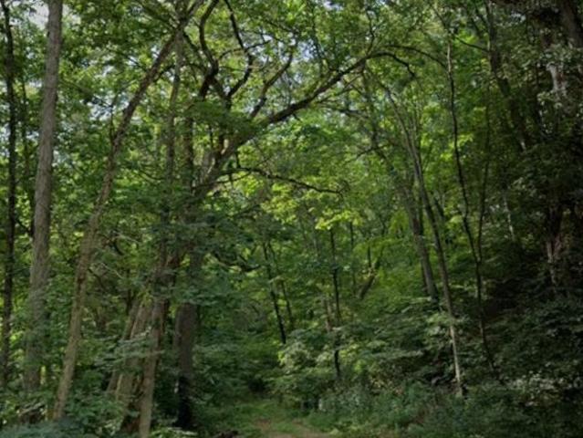 Land for sale in Porter, Indiana