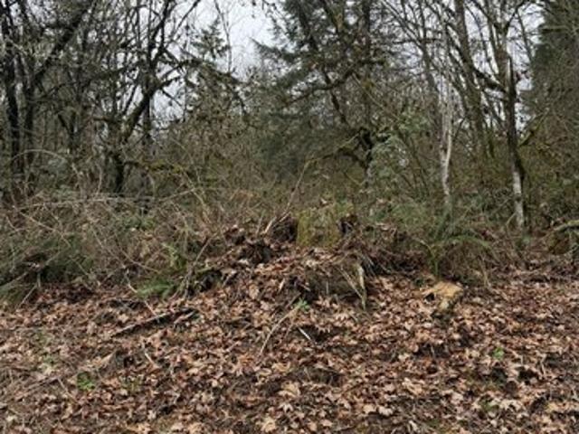 Land for sale in Rainier, Columbia County