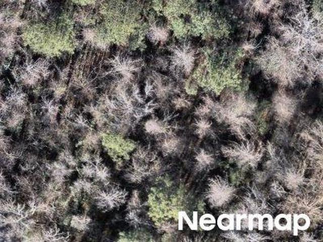 Land for sale in Columbia, South Carolina
