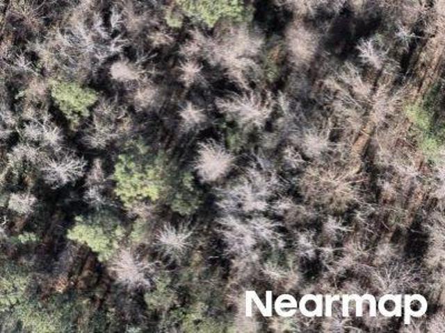 Land for sale in Columbia, South Carolina