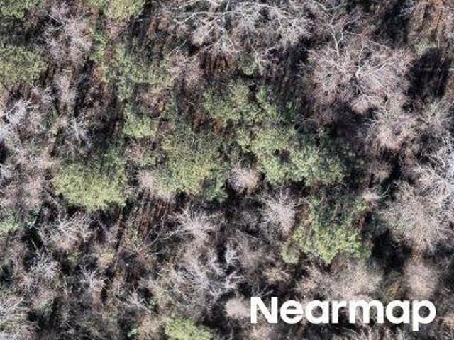 Land for sale in Columbia, South Carolina