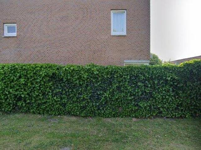 Woning te huur in Sloten, Amsterdam