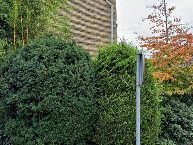 Woning te huur in Benoordenhout, Den Haag