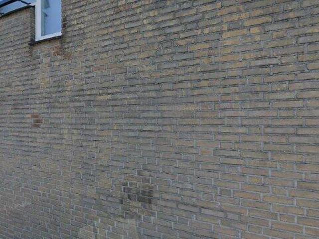Landhuis te huur in Helmond, Rijpelberg