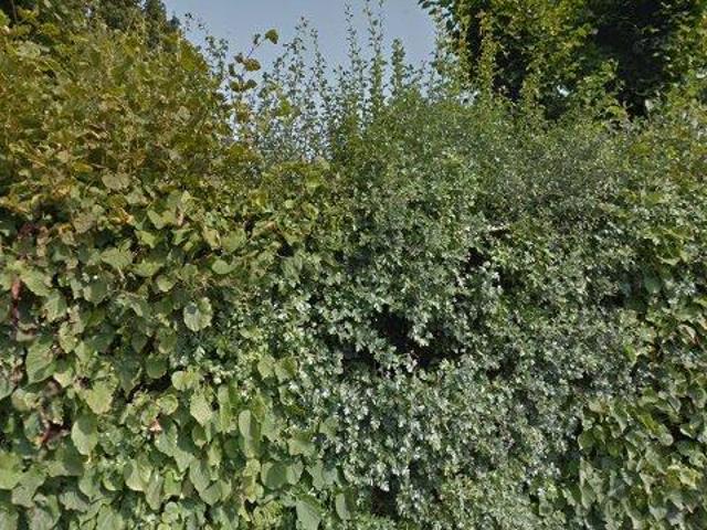 Woning te huur in Laren, Noord Holland