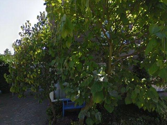 Woning te huur in Overlaet West, Rosmalen