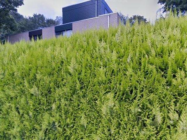 Landhuis te huur in Voorburg, Essesteijn
