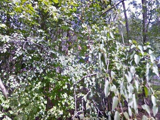 Woning te huur in Zuidwolde, Drenthe