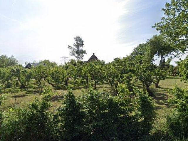 Woning te huur in Zwartewaal, Zuid Holland