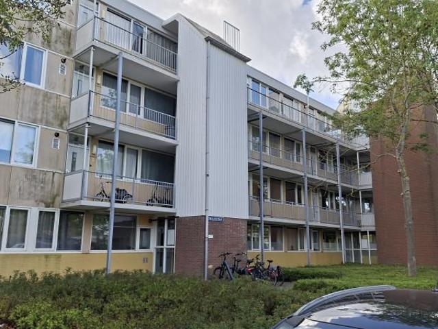 Appartement te huur in Dauwendaele, Middelburg