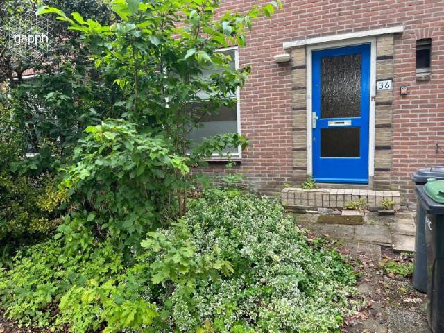 Appartement te huur in Papendrecht