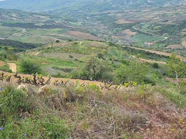 Kirazlı, Şarköy içerisinde satılık Arsa